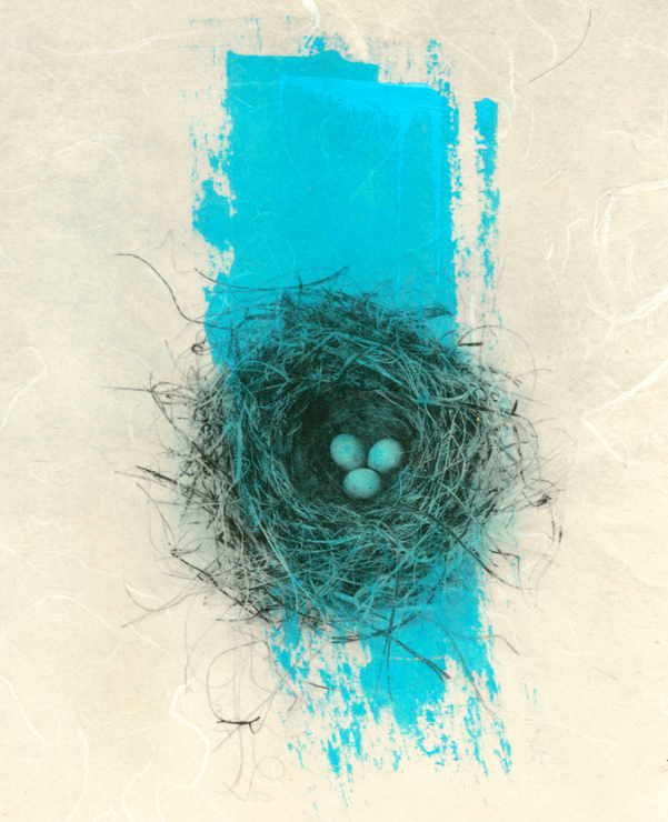 blue nest